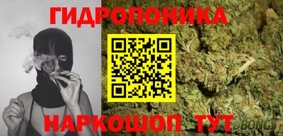 гидра Бузулук
